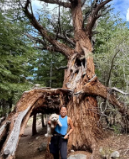 Screenshot 2025-11-19 140836